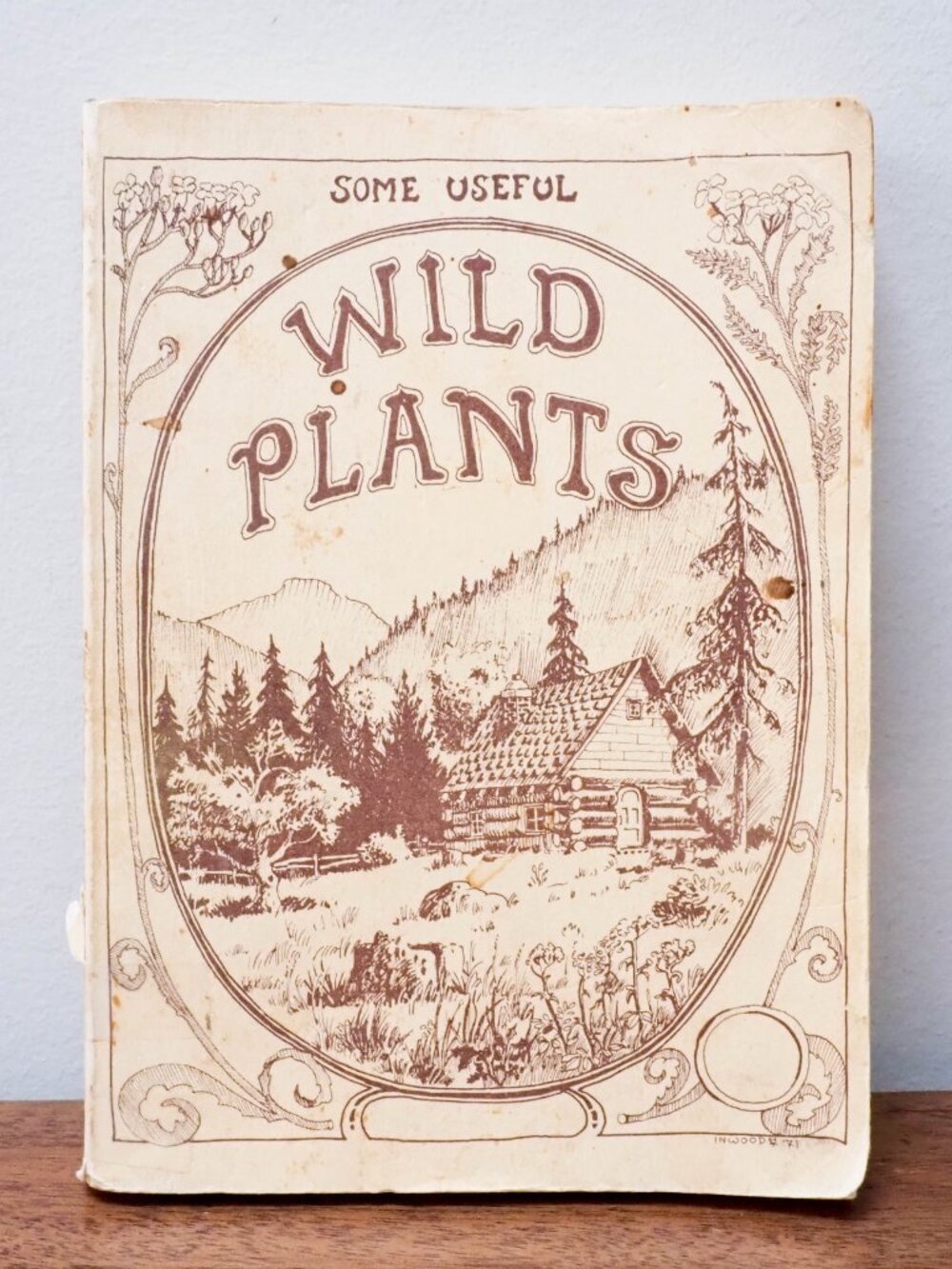 Some Useful Wild Plants - 1973 - David Manning - Vintage Foraging Guide - Picture 3 of 16